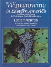 Item #0801412900-01 Winegrowing in Eastern America. Lucie T. Morton.