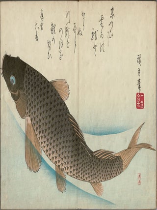 Uozukushi