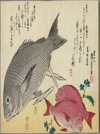 Uozukushi