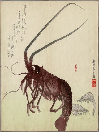 Uozukushi