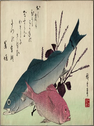 Uozukushi