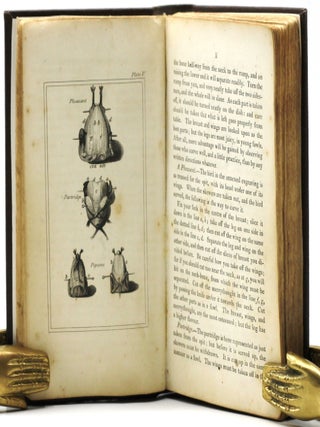 A New System of Domestic Cookery
