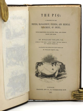 The Pig