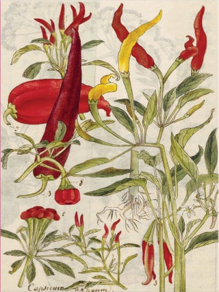 Chili Pepper & Shiso Leaves Journal