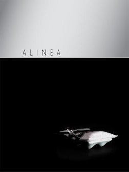 Item #9781580089289-7 Alinea. Grant Achatz