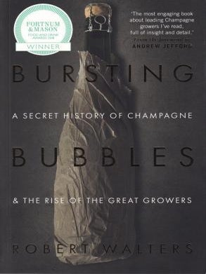 Item #9781846892790 Bursting Bubbles. Robert Walters